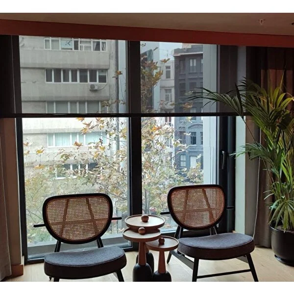 9106008309810_1732277679243